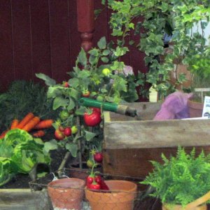 Events details: 24th Annual HCC Alumni Flower & Garden Show