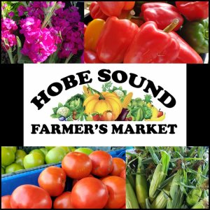 Hobe Sound farmers market in Stuart, FL