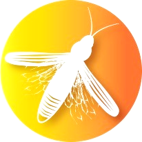 Firefly Handmade Market- Denver, CO