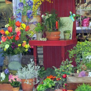 28th Annual HCC Alumni Flower & Garden Show