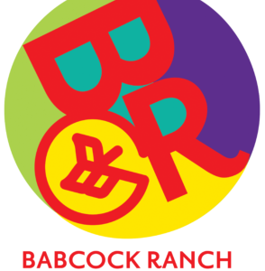 Babcock Ranch Art Show