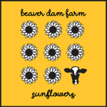 Beaver Dam Sunflower Festival