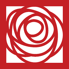 Rose Squared Shows